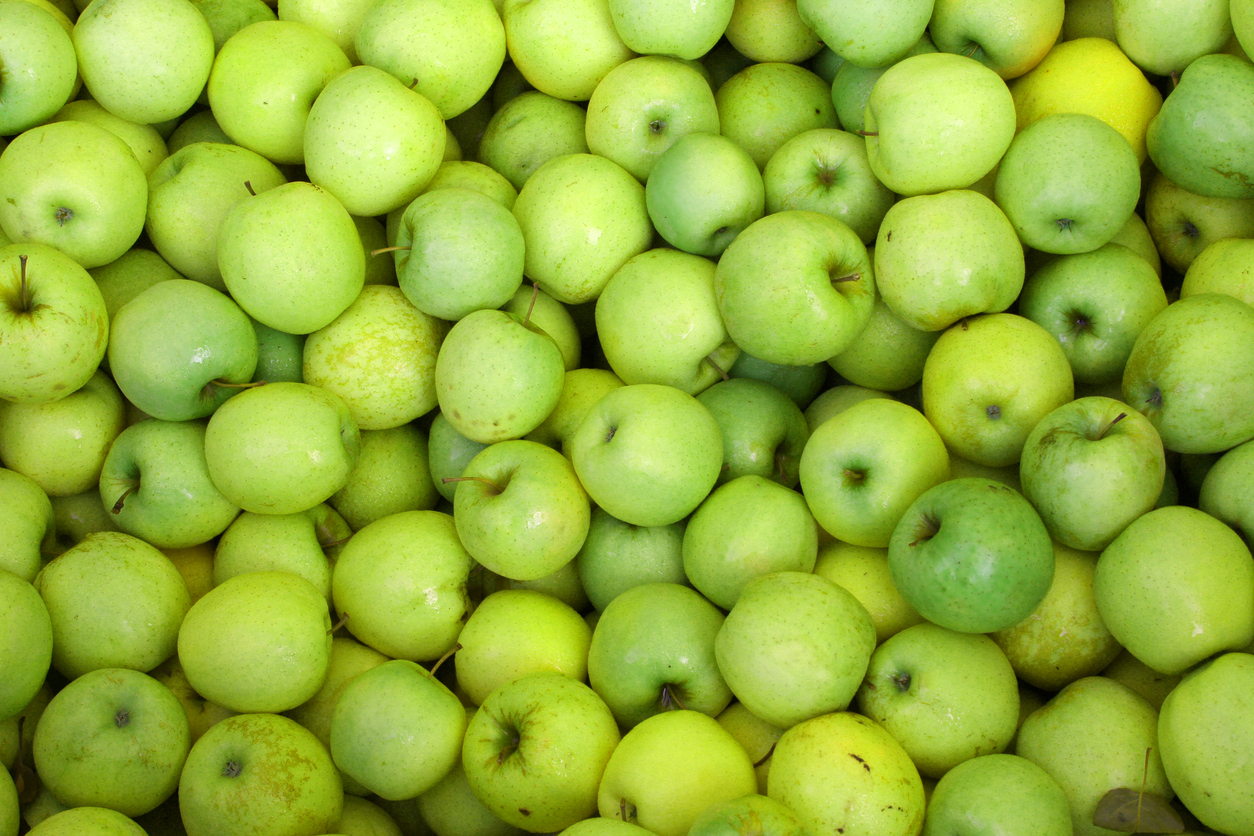 Goldstar odroda jabĺk