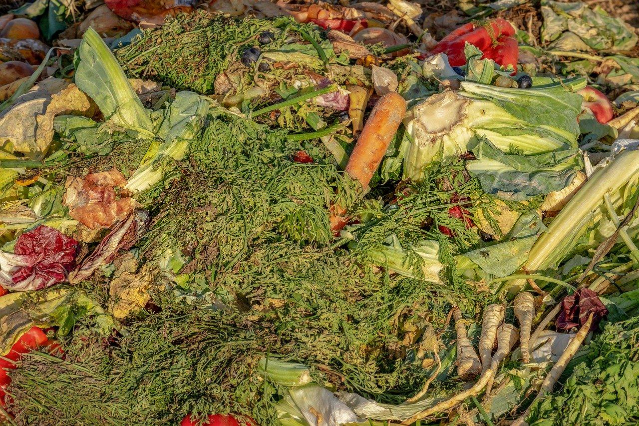 kompost, zelenina, ovocie, biologický odpad