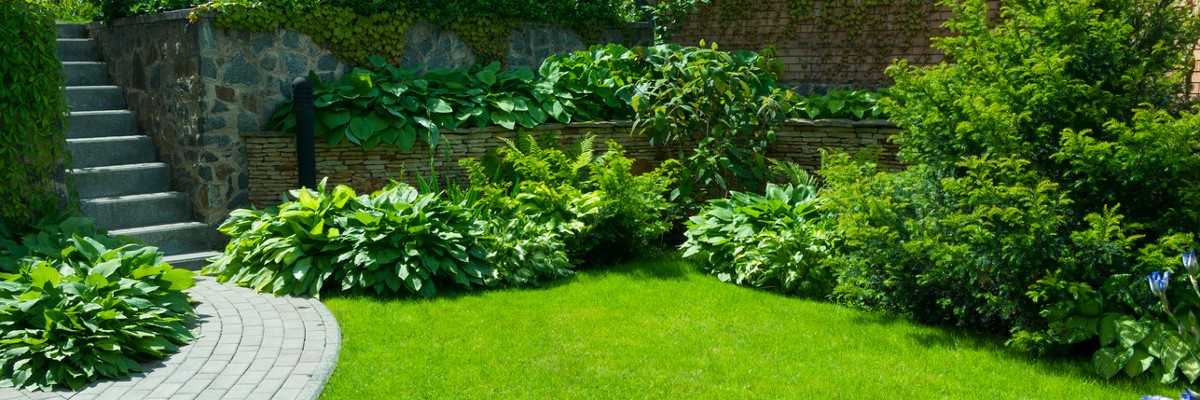 Zdravá záhrada s hustým zeleným trávnikom