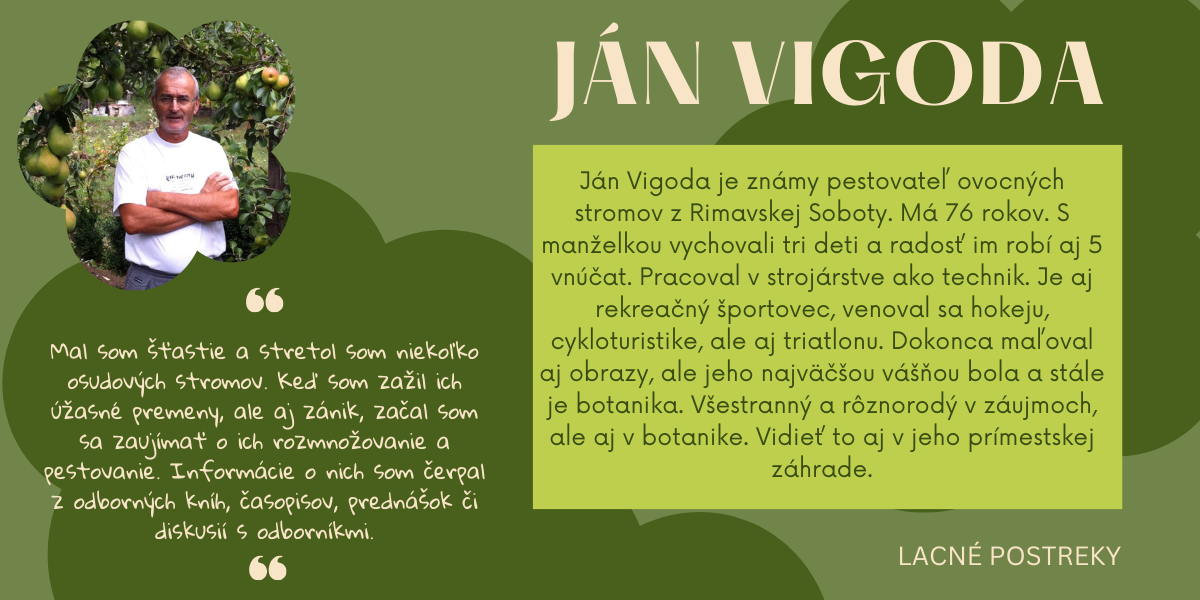 vizitka Jana Vigodu