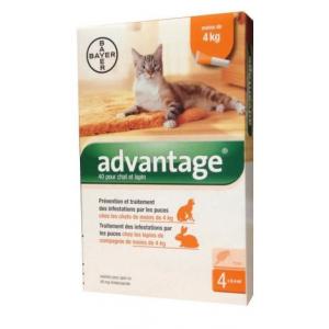 Advantage s.o. mačka a.u.v. do 4kg