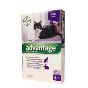 Advantage s.o. mačka a.u.v. od 4kg