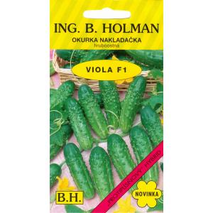 Uhorka nakl. Holman - Viola F1 hr 2 g