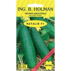 Uhorka šalát. Holman - Natalie F1 1,5 g