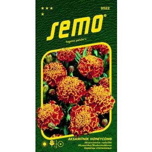Aksamitník rozkladitý - Honeycomb (Super Hero Orange Flame) 30s