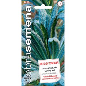 Dobré semená Kel listový mrazuvzdorný - Nero Di Toscana 0,5g