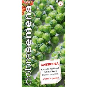 Dobré semená Kel ružičkový - Cassiopea 0,7g