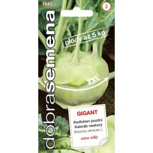 Dobré semená Kaleráb biely - Gigant neskorý 0,8g