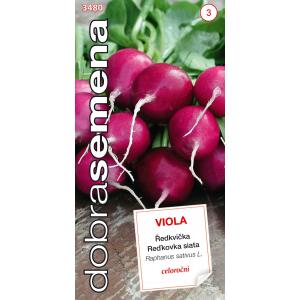 Dobré semená Reďkovka fialová - Viola celoročná 4g
