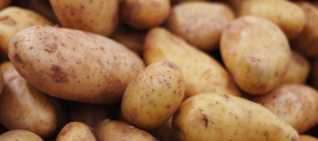 Ako sadiť zemiaky a ako ich chrániť pred chorobami?