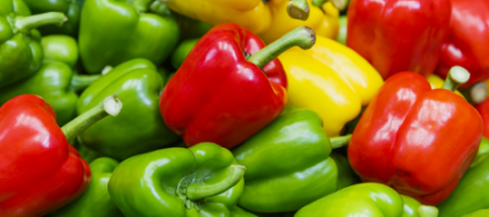 Ako správne pestovať a starať sa o papriku?