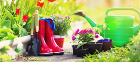 Najdôležitejšie jarné práce po naštartovaní záhradkárskej sezóny
