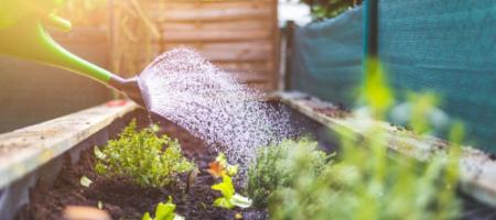 Aké uplatnenie majú vyvýšené záhony v našich záhradách?