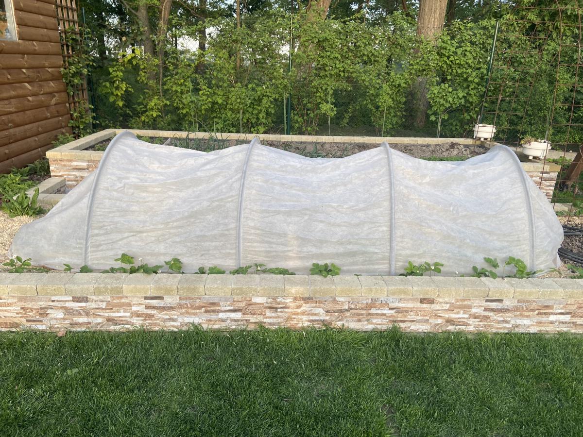 mechanicka ochrana pred skodcami cesnaku a cibule