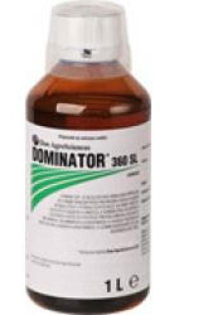 DOMINÁTOR