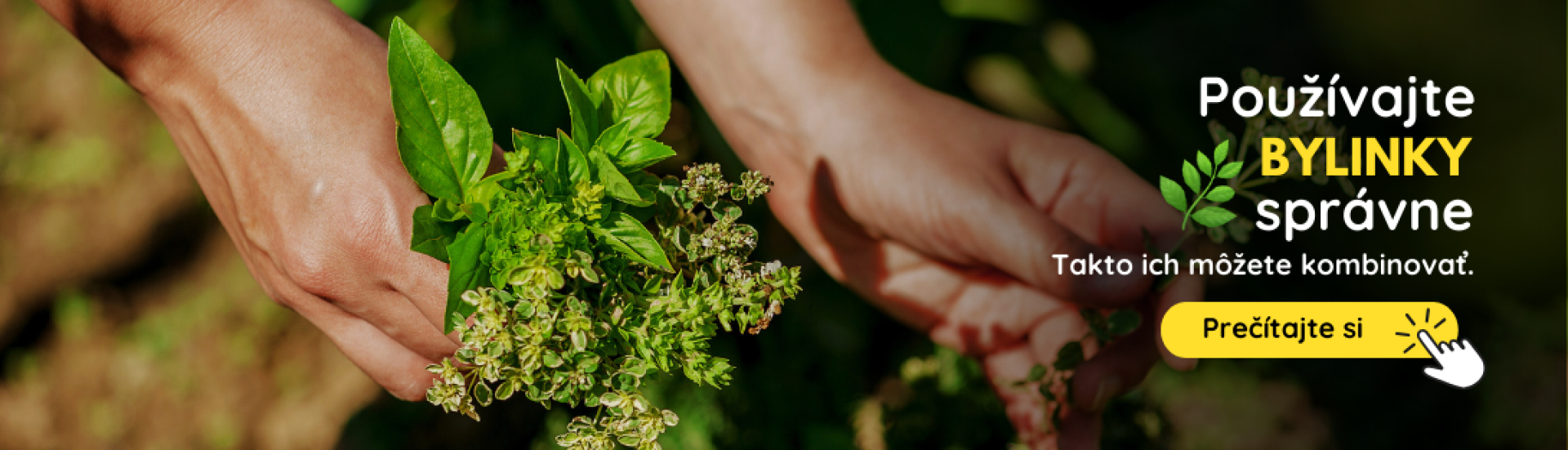 SK Pestovanie byliniek (4,5,6,7,8,9)